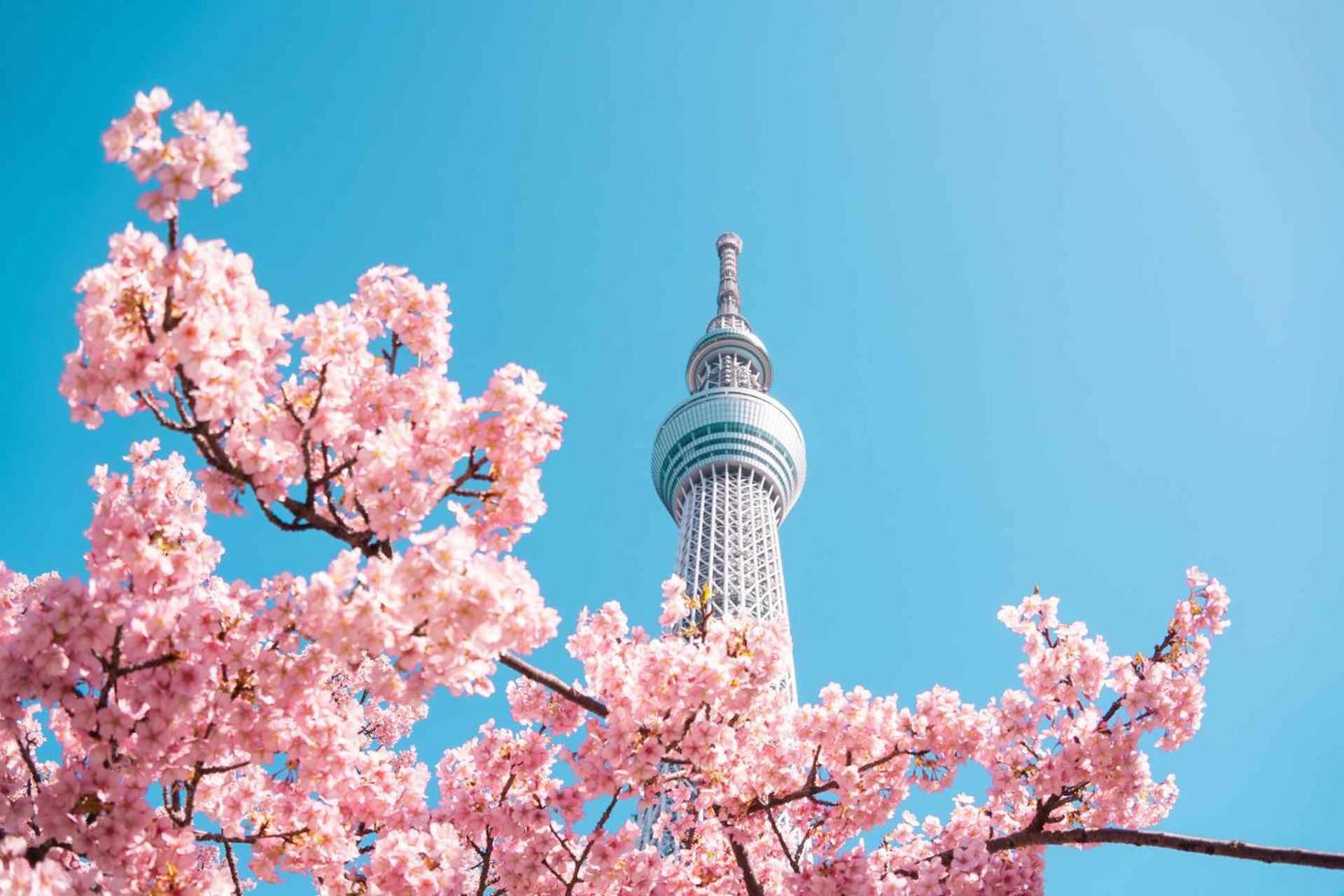 טוקיו Fl Hotel Asakusa מראה חיצוני תמונה